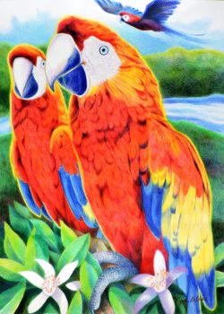 Celestial Parrots